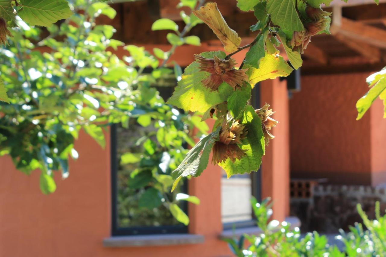 Ferienwohnung Altschloss Eppenbrunn Exterior foto